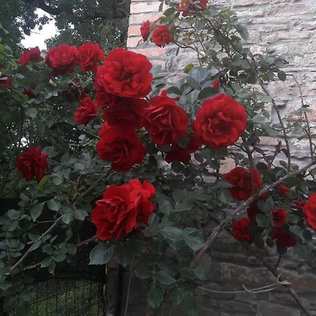 Nyaraló Poggio Di Castelletto Piacenza