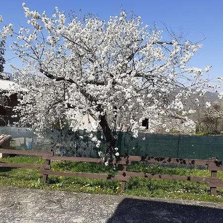 Nyaraló Poggio Di Castelletto